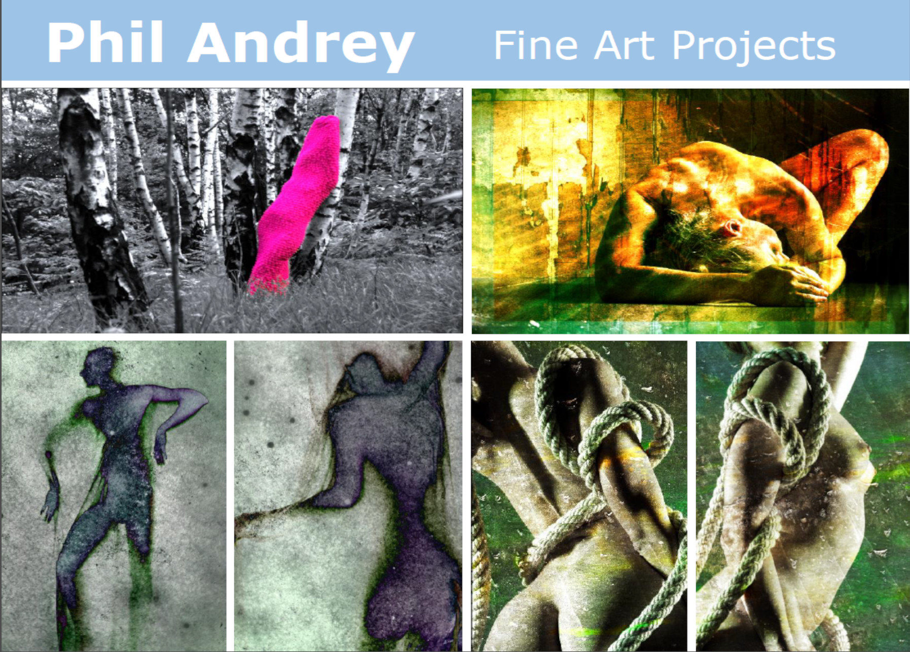 A featured artwork or photograph used as the hero image.