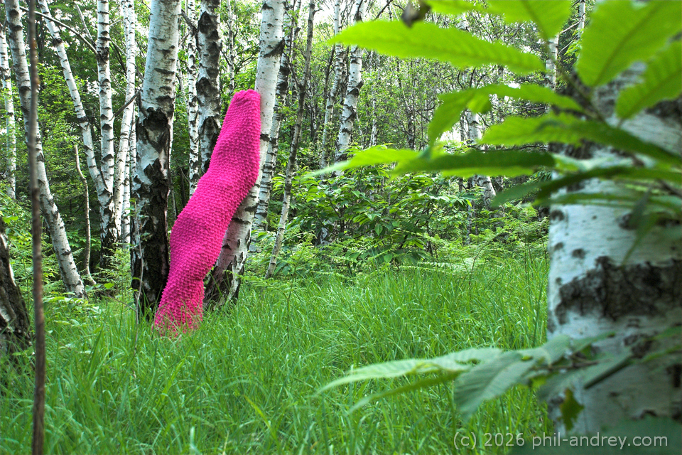 Artwork 2 — Traveling Tube I.